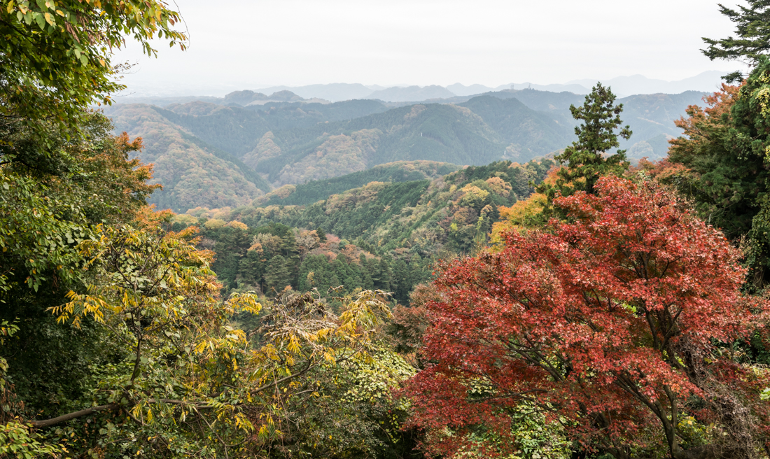 Шесть дней в осенней Японии (Токио, Киото) - короткая передышка перед новыми приключениями