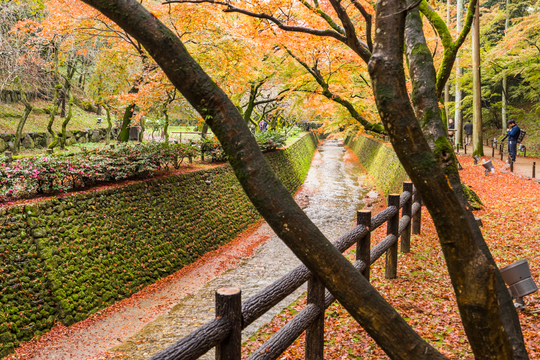 Шесть дней в осенней Японии (Токио, Киото) - короткая передышка перед новыми приключениями