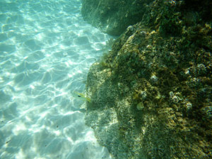 Малайзия, Реданг, курорт Berjaya Redang Beach Resort, авг'09