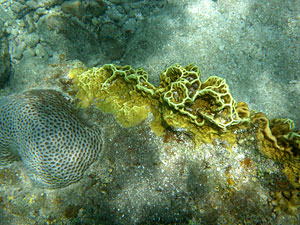 Малайзия, Реданг, курорт Berjaya Redang Beach Resort, авг'09